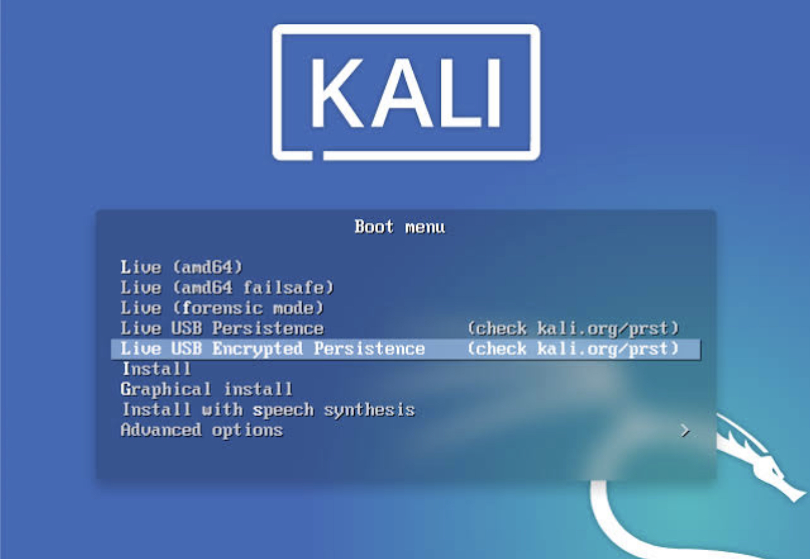 kali linux bootable usb with persistence