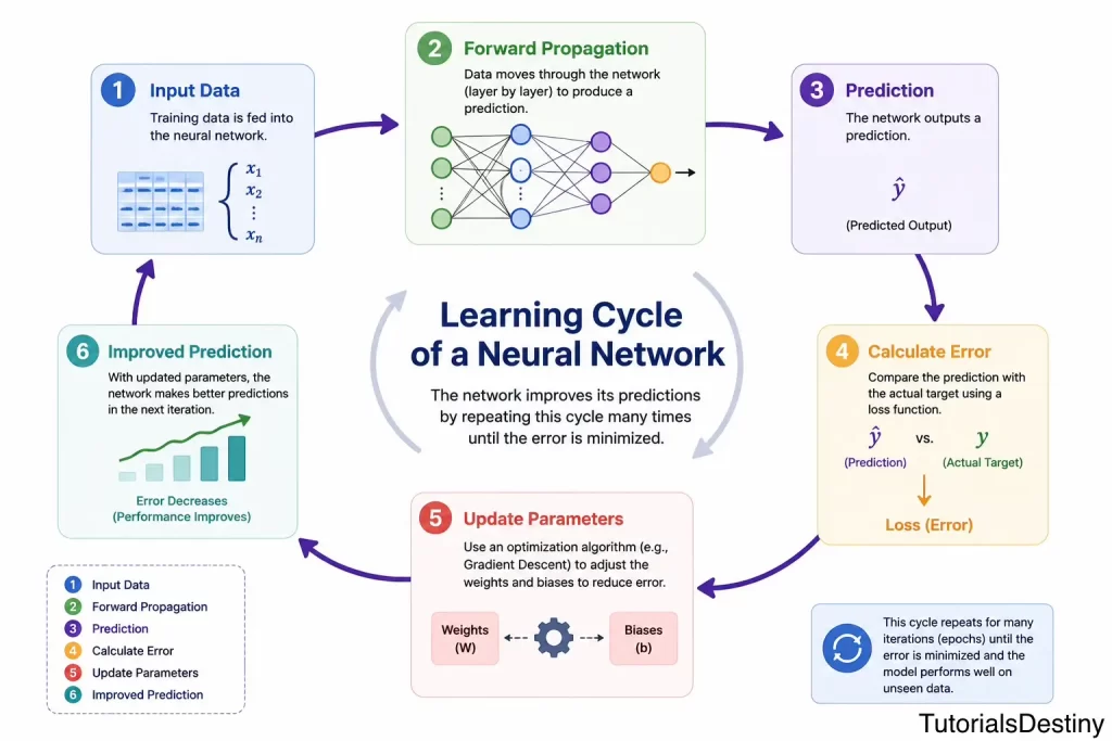 Learning cycle of a neural netwotk