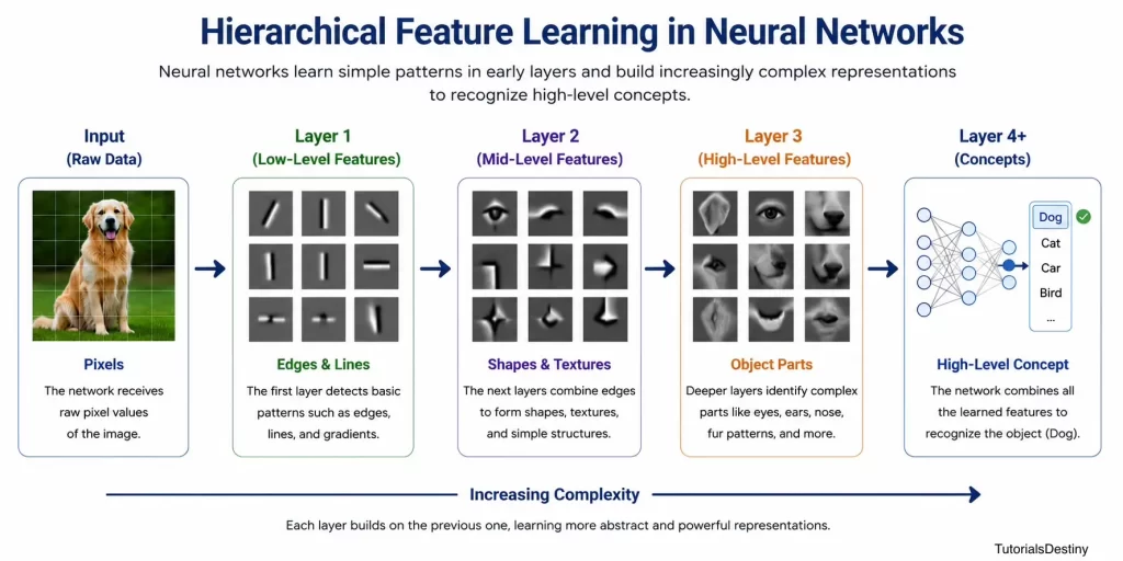 Hierarchical Feature Learning