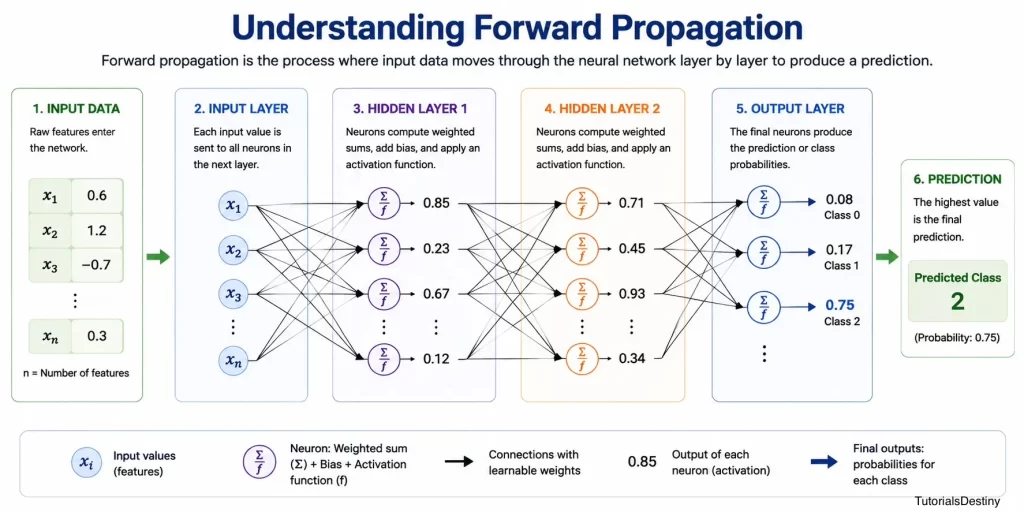 Forward Prpogation