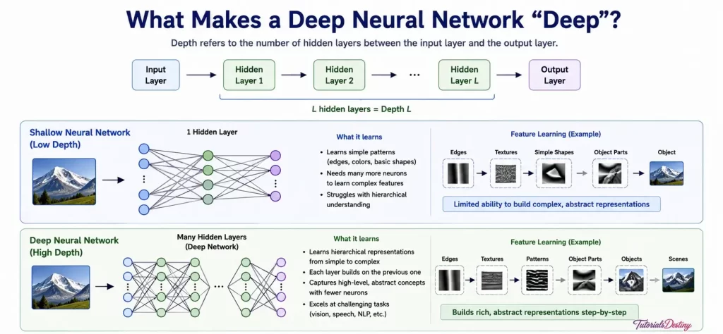Deep Neural Network
