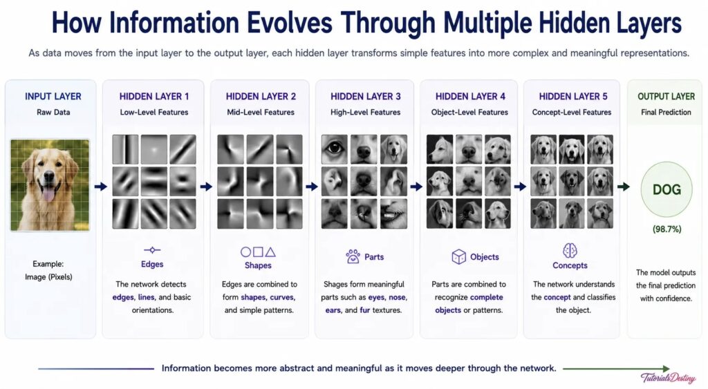 Neural Network Architecture
