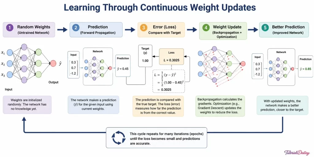 Continuous Weight Updates