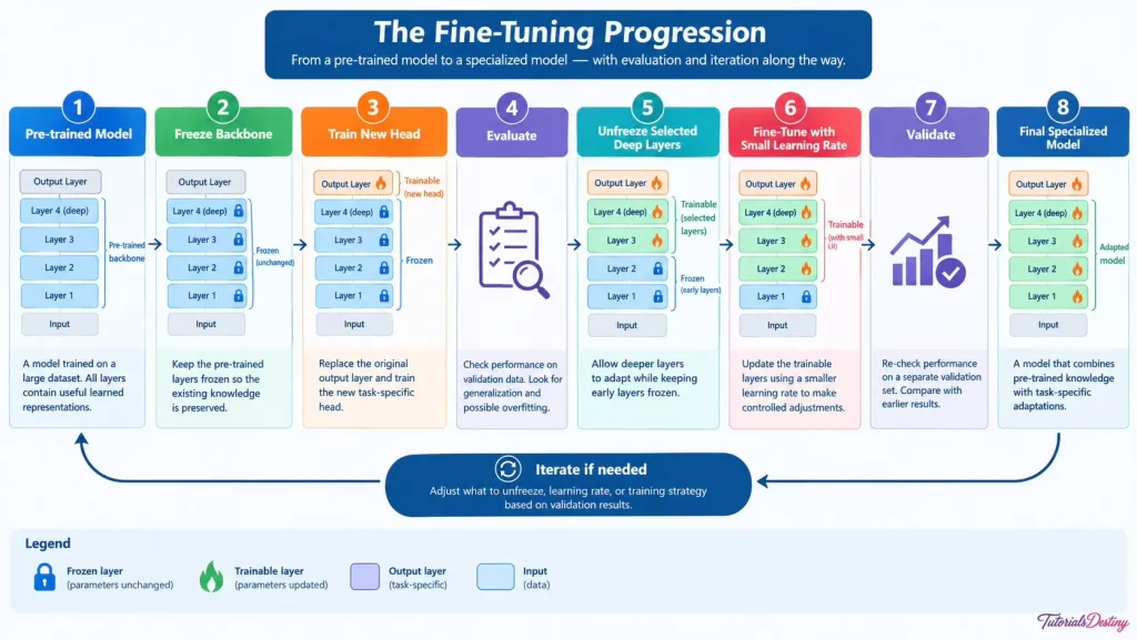 Fine-Tuning Progression
