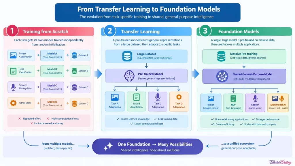 From Transfer learning to Foundation models