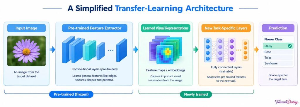 transfer-learning architecture